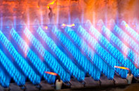 Falfield gas fired boilers